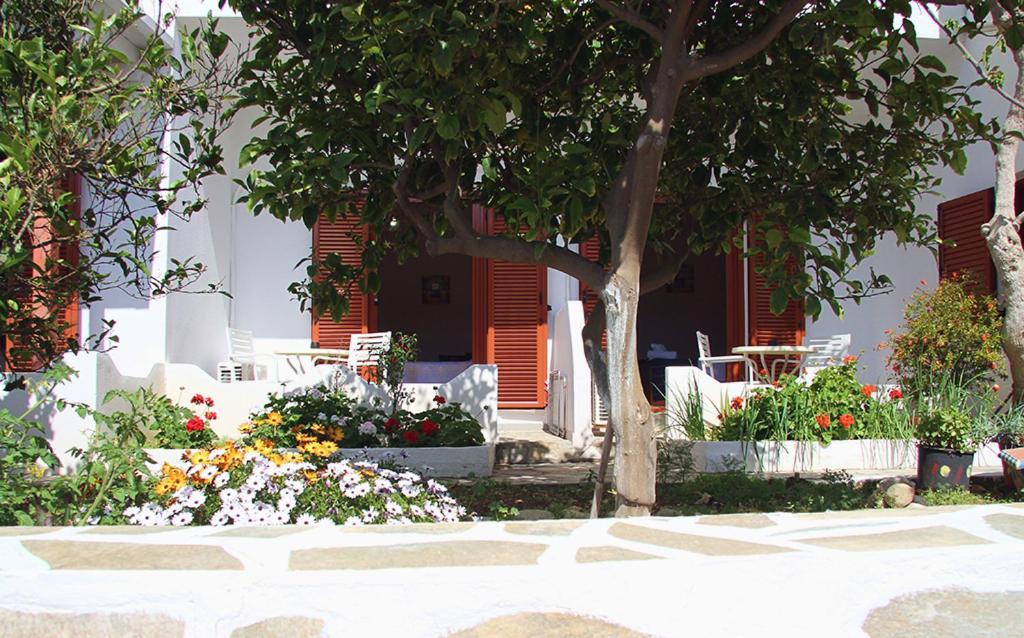 Helios Serifos Livadi  Esterno foto